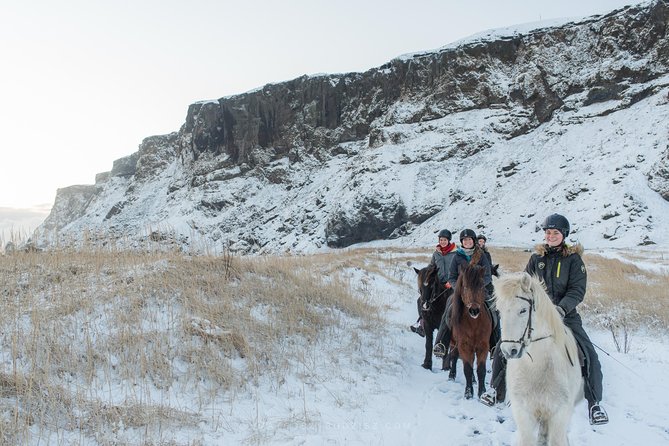 Black Sand Beach Horse Riding Tour from Vik - Who should book this, and who should skip it
