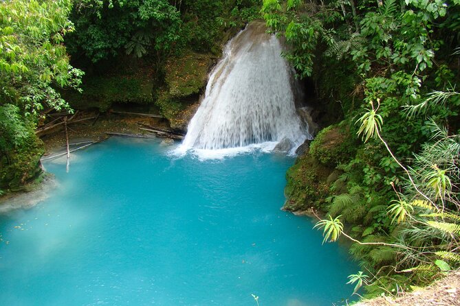 Blue Hole Falls with Horseback Ride Adventure from Montego Bay - Who This Tour Suits Best (and Who Might Want a Different Plan)