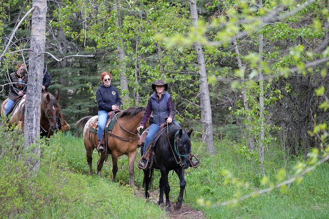 Buffalo Loop 1-Hour Horseback Trail Ride in Kananaskis - Key things worth knowing before you go