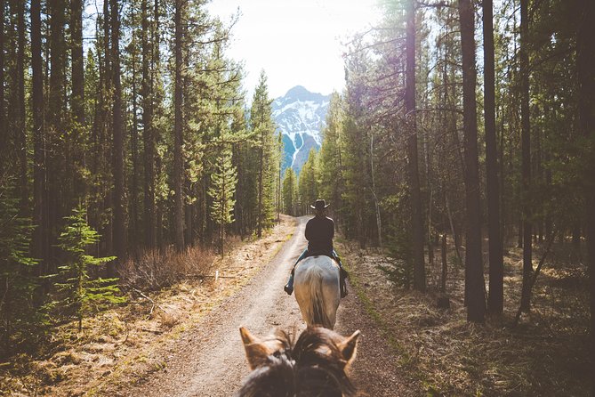 Buffalo Loop 1-Hour Horseback Trail Ride in Kananaskis - Kananaskis and horses: what the Buffalo Loop sets out to do