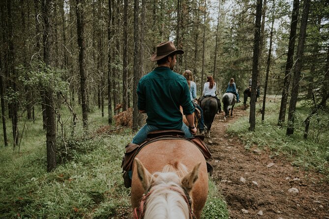 Buffalo Loop 1-Hour Horseback Trail Ride in Kananaskis - Buffalo paddock moment: the surprise stop that makes this feel local