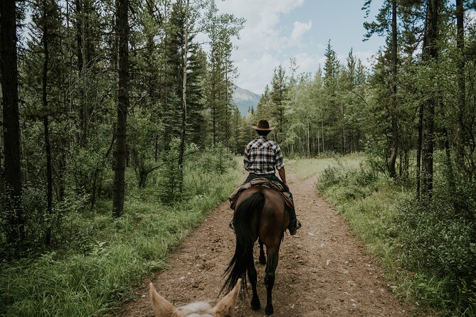 Buffalo Loop 1-Hour Horseback Trail Ride in Kananaskis - Price and value: what $77.91 buys you (and what costs extra)