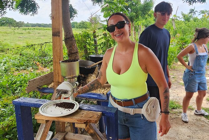 Buggy, horse and plantation ranch - Key Highlights You’ll Care About