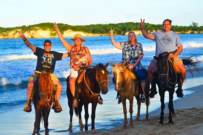 Buggy, horse and plantation ranch - The Team and Guides: Names You’ll Hear During the Day