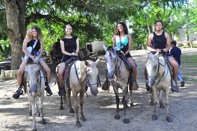 Buggy Ride, Horseback, Zipline,Eco Farm,Macao Beach - A 7:30 am Adrenaline Circuit in Punta Cana