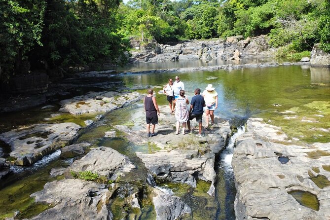 Buggy Ride, Horseback, Zipline,Eco Farm,Macao Beach - Price and What You Get for $130