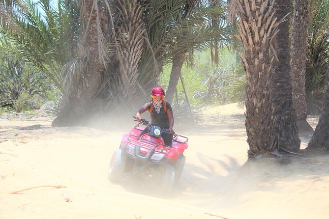 Cabo Desert ATV & Beach Horseback Combo enjoy adventure and beauty! - Migriño Beach horseback ride: ocean views with real sand-and-cliff energy