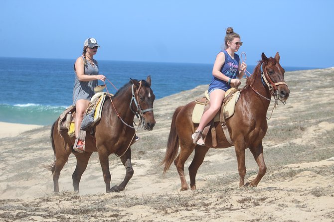 Cabo Desert Off-Road & Beach Horseback Combo and Tequila Tasting - ATV Hour: Dirt, Desert Views, and How Fast You’ll Really Go