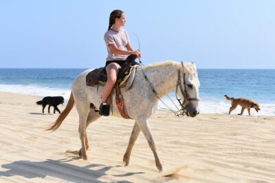 Cabo Desert Off-Road & Beach Horseback Combo and Tequila Tasting - The ATV-to-Horse Combo That Actually Feels Different