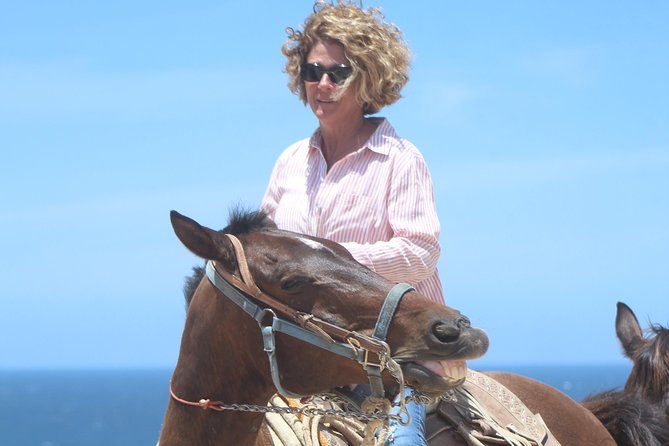 Cabo Desert Off-Road & Beach Horseback Combo and Tequila Tasting - Photos and the Cost of Looking Like a Hero