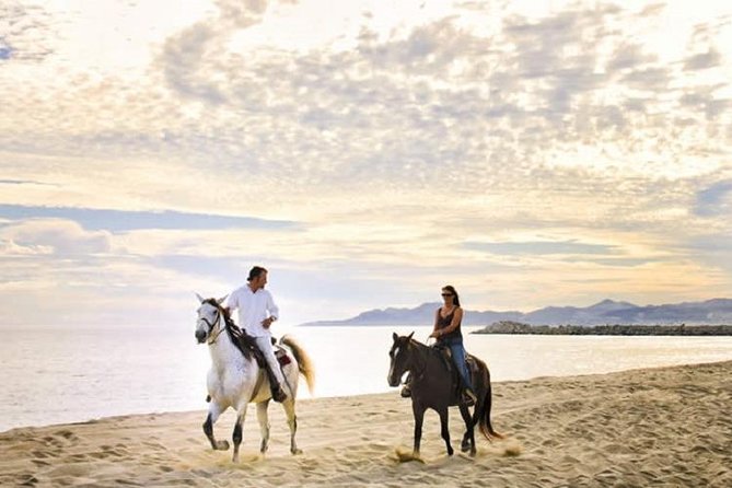 Cabo San Lucas Beach and Desert Horseback Ride - Key highlights to know before you go