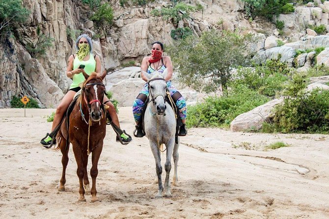 Cabo San Lucas Beach and Desert Horseback Ride - Desert Trails to Open Water: What the Experience Really Feels Like