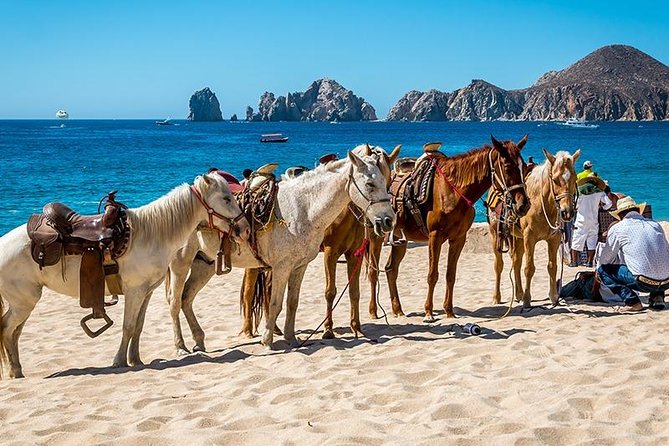 Cabo San Lucas Beach and Desert Horseback Ride - Price and Fees: Realistic Value for a 2-Hour Cabo Adventure
