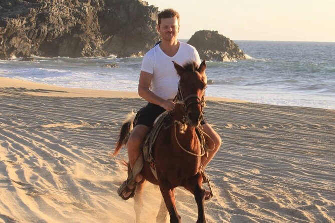 Cabo San Lucas Beach and Desert Horseback Ride - Horses, Guides, and Safety: How to Get the Best Ride