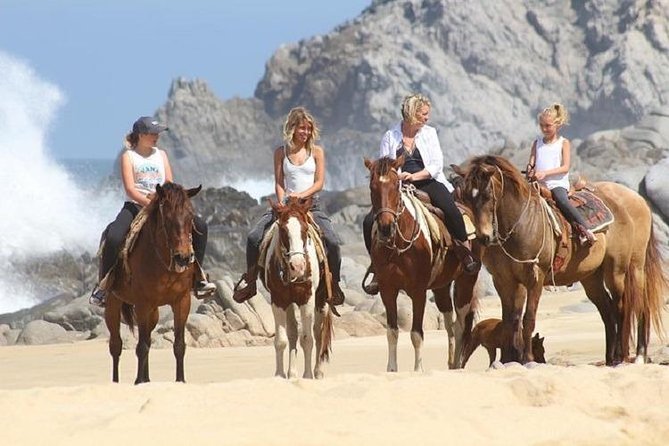 Cabo San Lucas Beach and Desert Horseback Ride - Pickup, Meeting Point, and Timing: How Not to Lose Your Morning