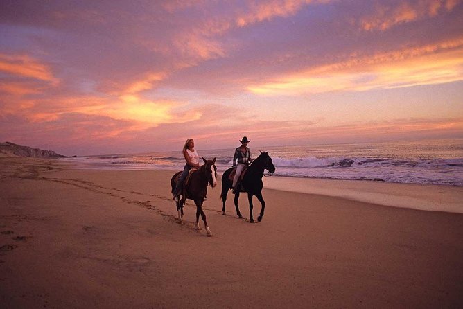 Cabo San Lucas Beach and Desert Horseback Ride - Who This Horseback Ride Is Best For