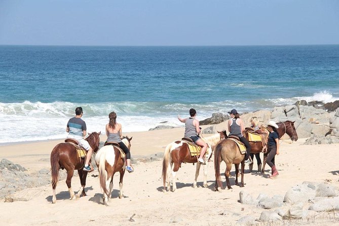Cabo San Lucas Beach and Desert Horseback Ride - Your Route Explained: From Playa Migrino Staging to Coastal Sand