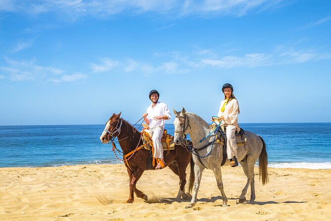 Cabo San Lucas Camel and Horseback Ride with ATV Adventure - Entering the day at Cactus Tours: pickup, check-in, and picture time