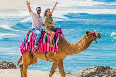 Cabo San Lucas Camel and Horseback Ride with ATV Adventure - ATV time in Migriño: 1 hour of desert riding (with shared driving)