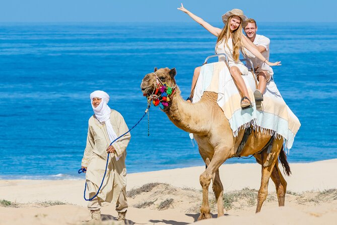 Cabo San Lucas Camel and Horseback Ride with ATV Adventure - Getting the most out of the ride: clothing, weather, and good judgment