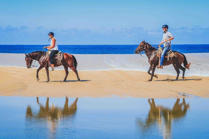 Cabo Shore Excursion: Beach Horseback Ride & Tequila Tasting - The 3-hour Cabo ride: what the timing feels like