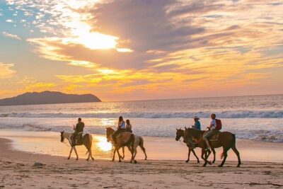 Cabo Shore Excursion: Beach Horseback Ride & Tequila Tasting - Playa Migrino: the beach horseback moment you came for