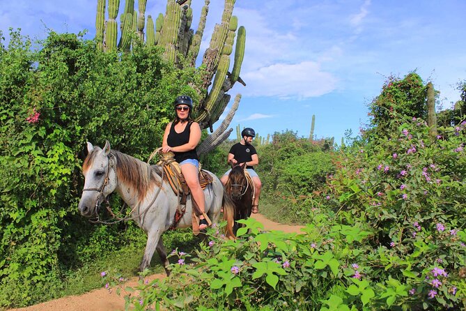 Cabo Shore Excursion: Beach Horseback Ride & Tequila Tasting - Tequila tasting at the end: what it usually includes