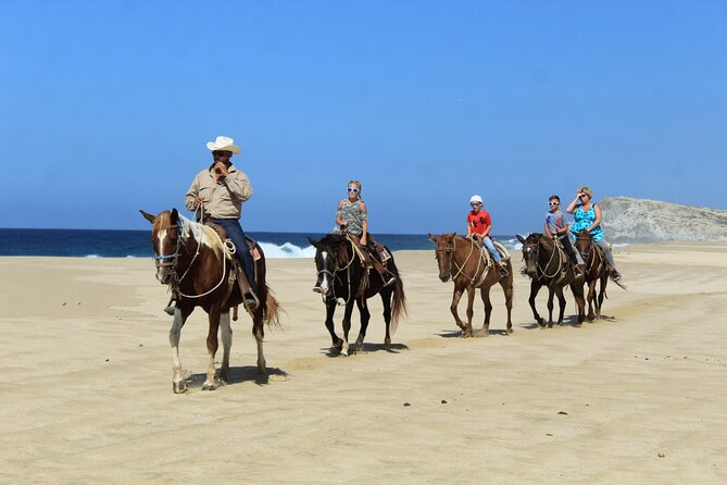 Cabo Shore Excursion: Beach Horseback Ride & Tequila Tasting - Price and value: the $70 base cost plus what to budget