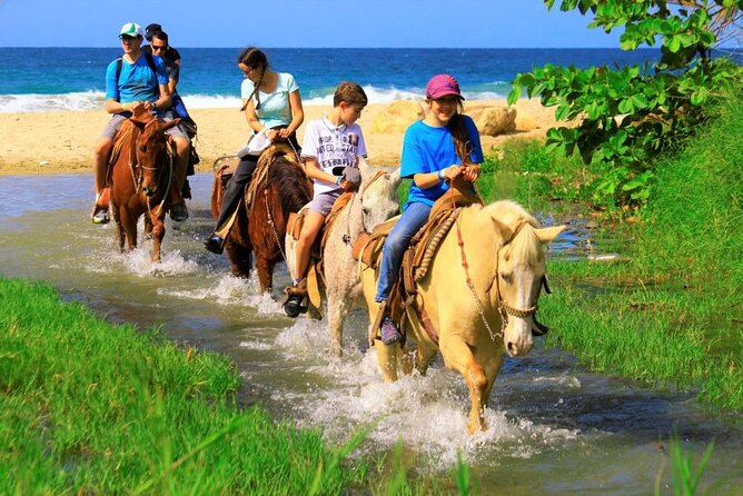 Cabo Shore Excursion: Beach Horseback Ride & Tequila Tasting - Getting there: pickup, meeting point, and timing sanity