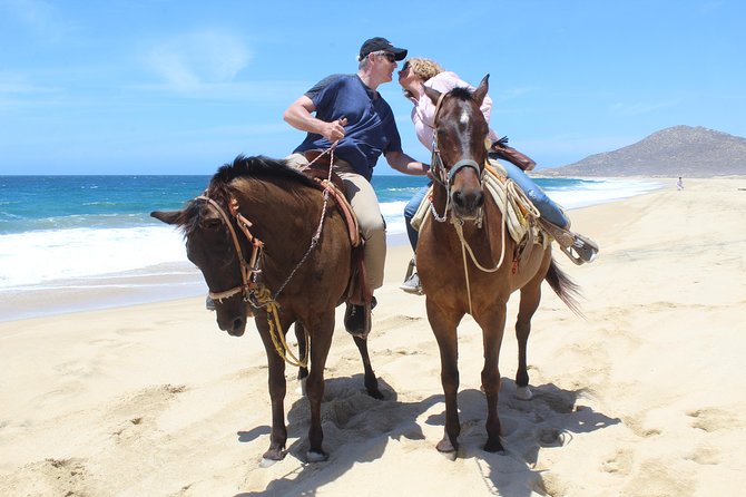 Cabo White Sand Horseback Riding Tour and Tequila Tasting - White-sand horseback riding in Cabo: what you’re really paying for