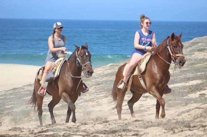 Cabo White Sand Horseback Riding Tour and Tequila Tasting - Desert trails first: cactus, Baja race routes, and animal-spotting from horseback