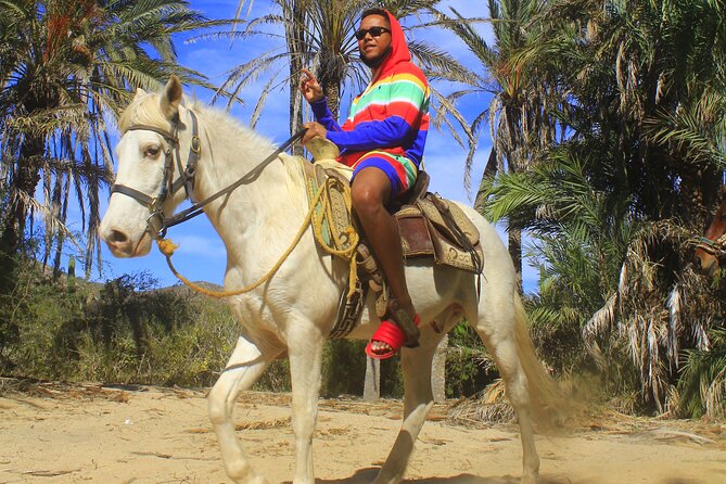 Cabo White Sand Horseback Riding Tour and Tequila Tasting - The beach turn: white sand, ocean views, and whale season in the Pacific