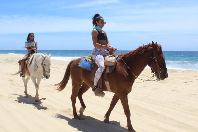 Cabo White Sand Horseback Riding Tour and Tequila Tasting - Pace and riding levels: beginners welcome, fast riders still find fun