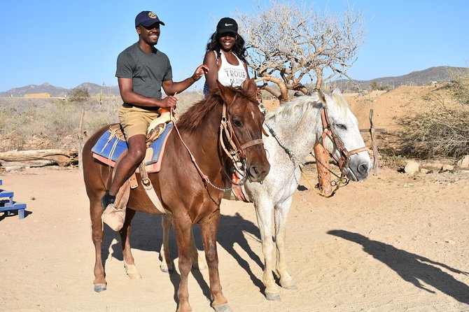 Cabo White Sand Horseback Riding Tour and Tequila Tasting - Horses, safety gear, and the small details that matter