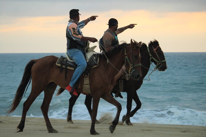 Cabo White Sand Horseback Riding Tour and Tequila Tasting - Tequila tasting: a fun finish, but don’t let it derail your day