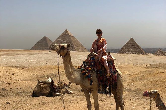 Camel or Horse riding Giza Pyramids Desert - Camel vs Horse: Choosing the Animal for Your Experience