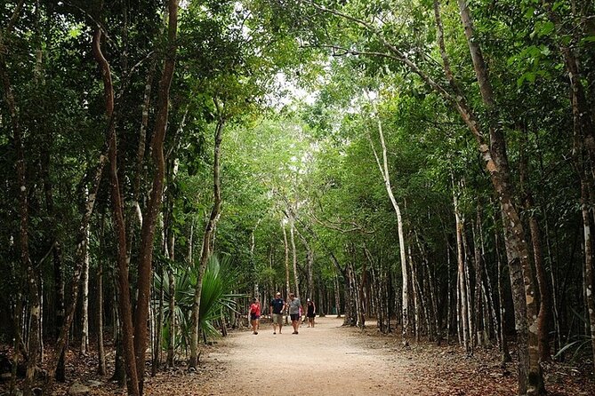 Cancun ATV Adventure, Horseback Riding, Zip Lines, and Cenote - Zip lines, suspension bridge, and the spider web