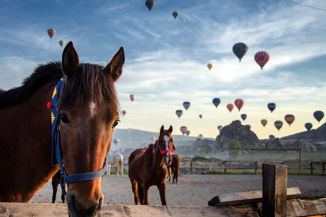 Cappadocia Horse Riding Experience Sunrise Sunset Daytime - Horse Safari 101: What the 2-Hour Ride Is Like