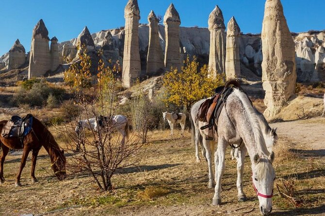 Cappadocia Horse Riding Experience Sunrise Sunset Daytime - Getting There and Meeting Your Guide: Pickup That’s Easy If You Read This Part