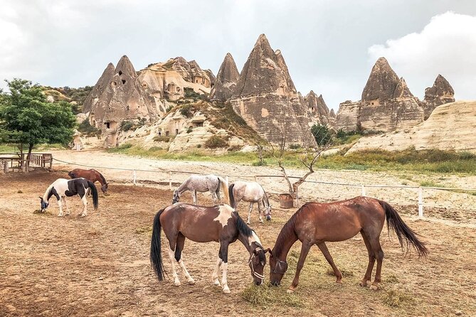 Cappadocia Horse Riding Tour: Sunrise, Sunset, 1 Hour or 2 Hours - Sunrise vs Sunset: When You’ll See Cappadocia At Its Best