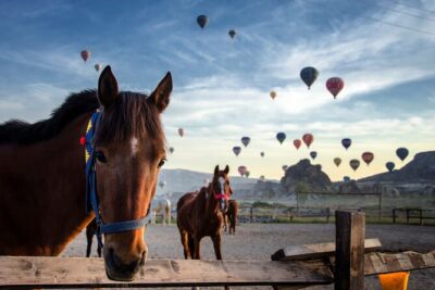 Cappadocia Horse Riding Tour: Sunrise, Sunset, 1 Hour or 2 Hours - Meeting At The Ranch: How The Ride Starts Safely