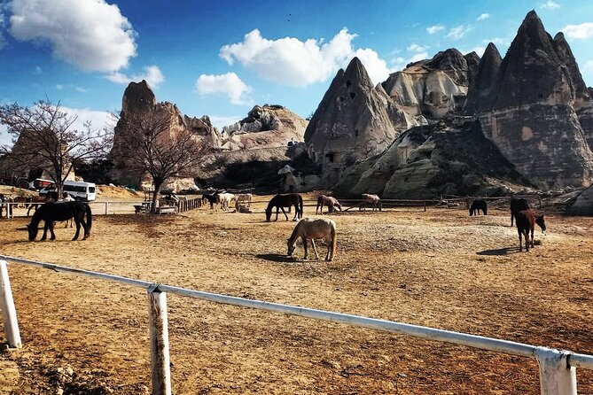 Cappadocia Horse Riding Tour: Sunrise, Sunset, 1 Hour or 2 Hours - Pickup, Mobile Tickets, And Hotel Convenience