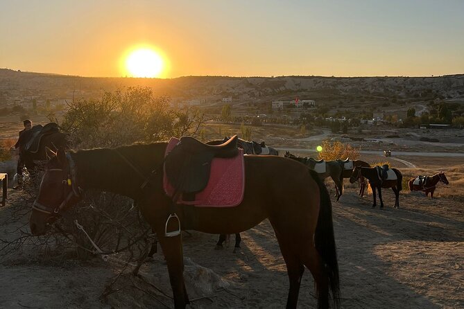 Cappadocia Horseback Riding Tour - Price and Logistics: What $16.86 Really Covers