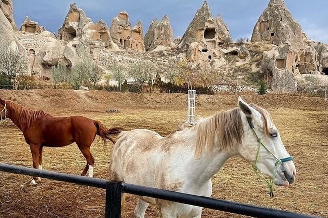 Cappadocia Horseback Riding Tour (Transfer Included) - Getting On the Horse: The Tutorial That Makes It Beginner-Friendly