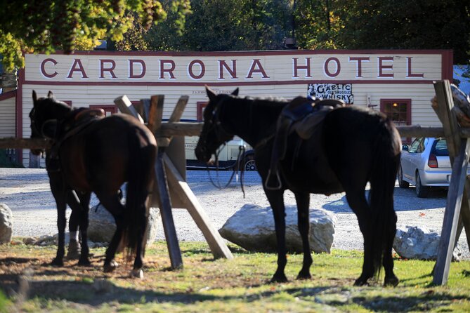 Cardrona High Country Pub Trail Horse Riding Trek (Intermediate+) - Key things to know before you saddle up