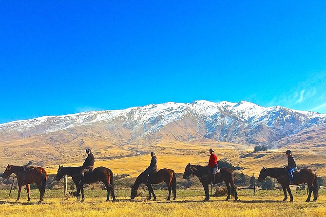 Cardrona High Country Pub Trail Horse Riding Trek (Intermediate+) - Why the Cardrona High Country Pub Trail feels different