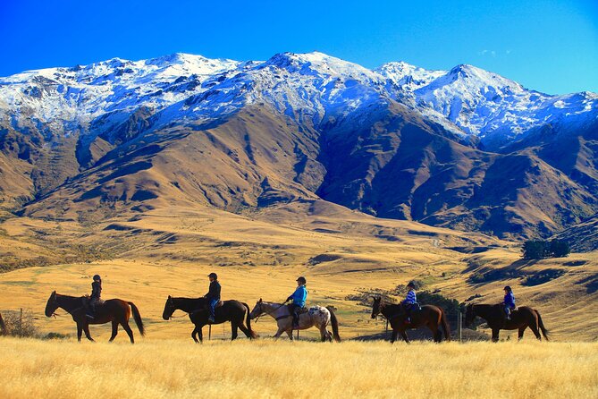 Cardrona High Country Pub Trail Horse Riding Trek (Intermediate+) - The climb into the high country and the gold-rush story you’ll actually remember