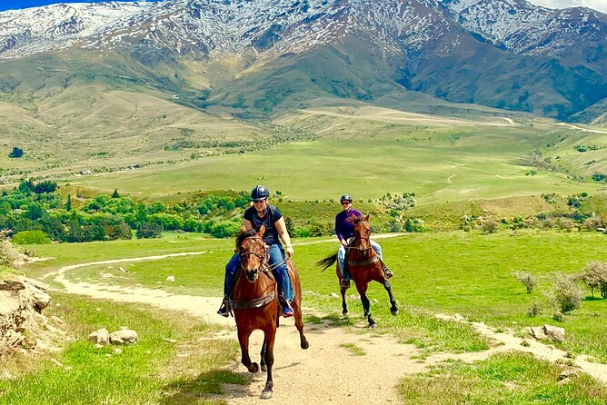 Cardrona High Country Pub Trail Horse Riding Trek (Intermediate+) - River crossings, cattle farms, and where the canters really happen
