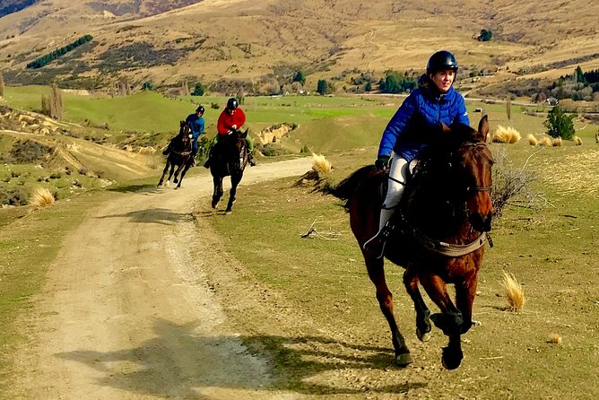 Cardrona High Country Pub Trail Horse Riding Trek (Intermediate+) - Who this Intermediate+ trek suits best