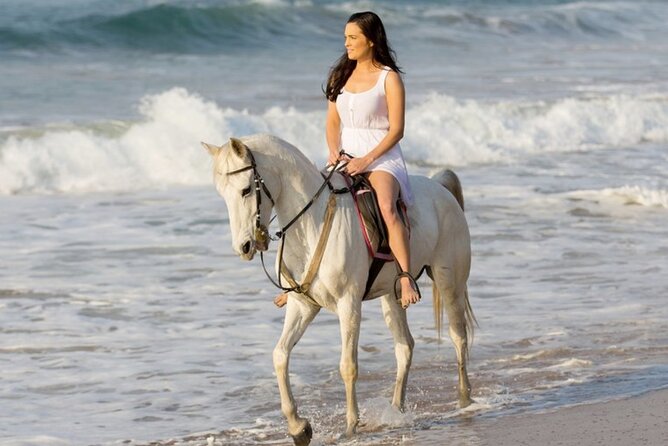 Cartagena: Horseback Riding at the Beach During Day or Sunset - Key Things I’d Focus On Before Booking